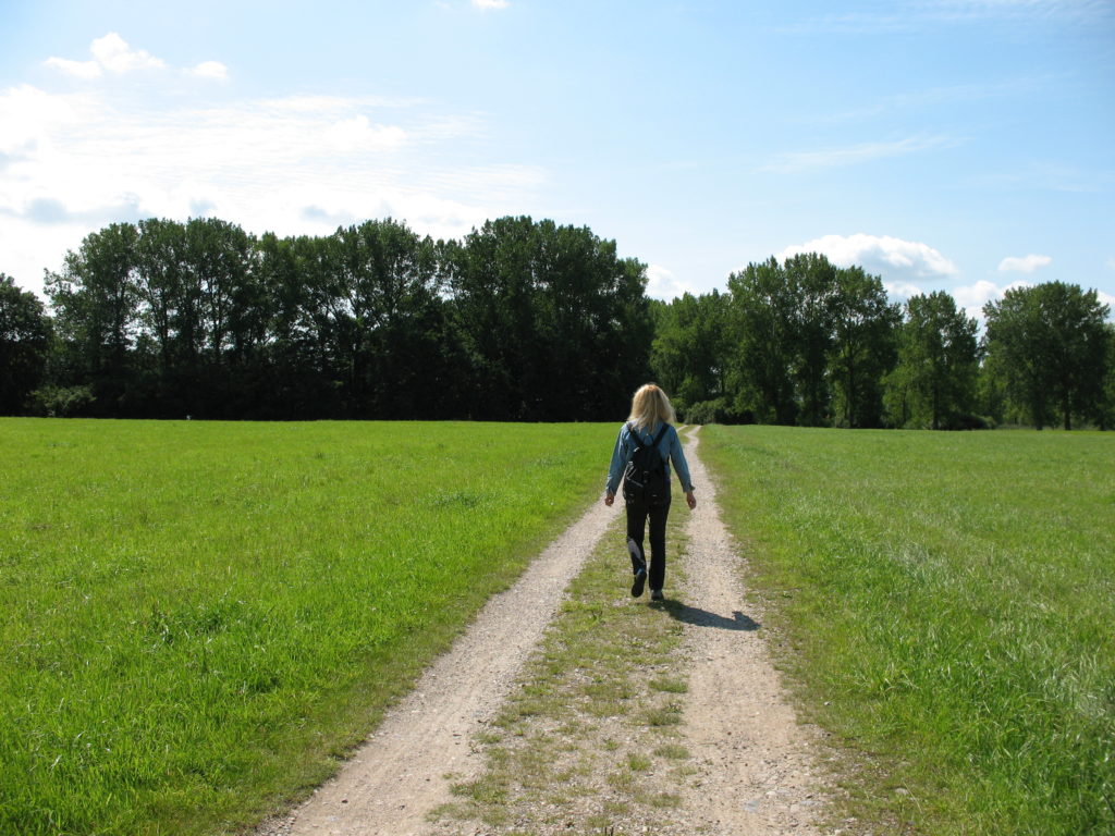 Wohin fuehrt mein Weg