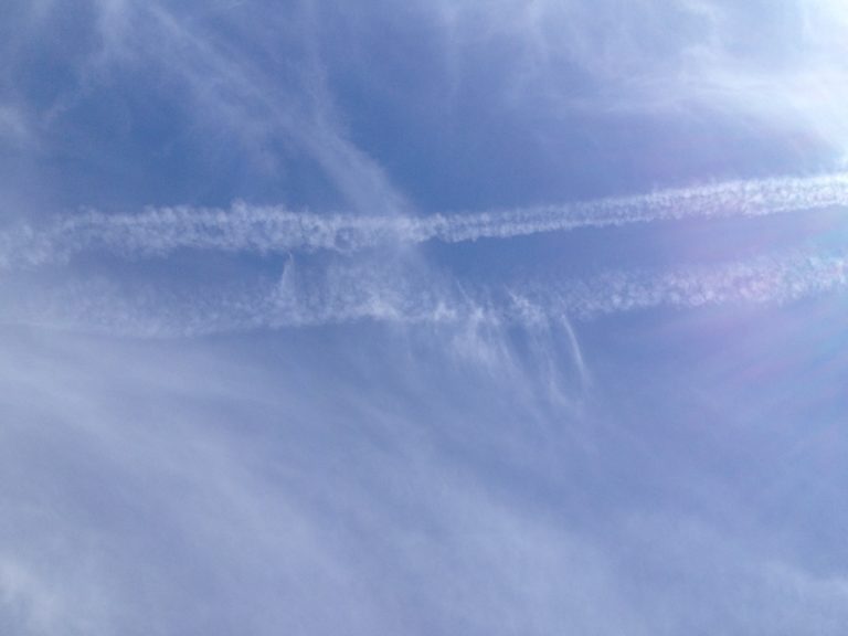 Ein Grundsatz meiner Arbeit: Krankheiten überfallen den Menschen nicht aus heiterem Himmel. Es gibt Ursachen!